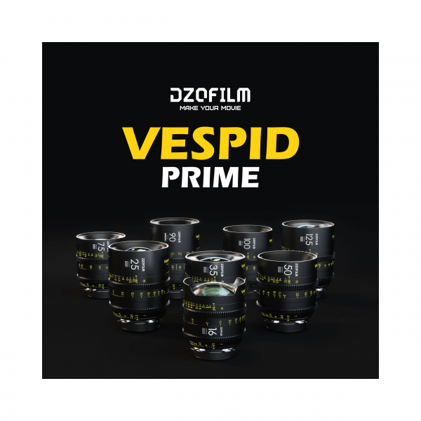DZOFilm VESPID Prime Cine Kit 8 obiettivi (attacco PL)