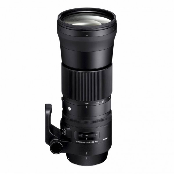 Obiettivo sportivo Sigma 150-600 mm f/5-6,3 DG OS HSM per Nikon