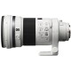 Sony SAL300F28G2 - Teleobiettivo - 300 mm - f/2,8 G SSM II - Innesto Sony A